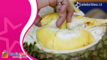 Lezatnya Durian Bhineka Bawor, Petik Langsung dari Kebun
