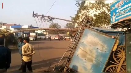 बालाघाट: बस स्टैंड में लगा नारियल का पेड़ हुआ धराशाही, टला बड़ा हादसा