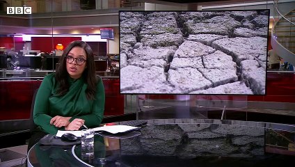 France on the verge of 'water crisis' following ongoing drought