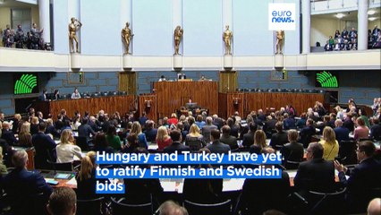 Latest news bulletin | March 2nd – Morning