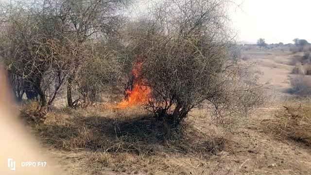 चने के खेत में लगी आग,डेढ बीघा में फसल जलकर राख