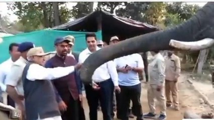 सीधी: संजय टाइगर रिजर्व का महामहिम राज्यपाल ने किया भ्रमण,हाथियों को खिलाया खाना