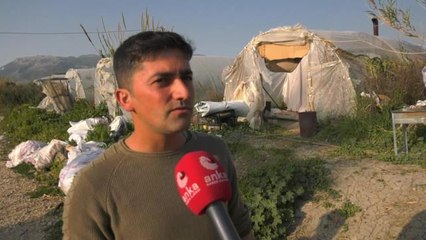 Hataylı Depremzede, "Çadırlarını Satın Aldıklarını" Söyledi: Çadırı, Kızılay'ın Sattığı Kişilerden Aldık.