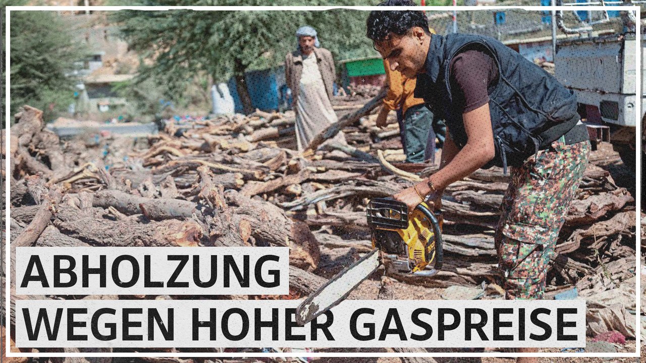 Wegen hoher Gaspreise: Jemeniten holzen ihr Land ab