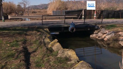 Países europeus elaboram planos face a seca prolongada