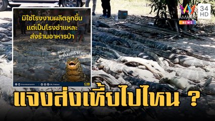แจงเนื้อตัวเหี้ย ไม่ได้ส่งไปโรงงานลูกชิ้น แต่ชำแหละส่งร้านเปิปพิสดาร| ข่าวเที่ยงอมรินทร์ |2 มี.ค.66