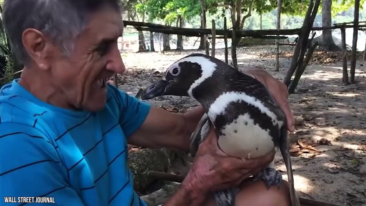 10 Strongest Friendships Between Humans And Wild Animals