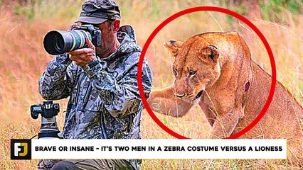 15 Times Animal Surprised Photographers