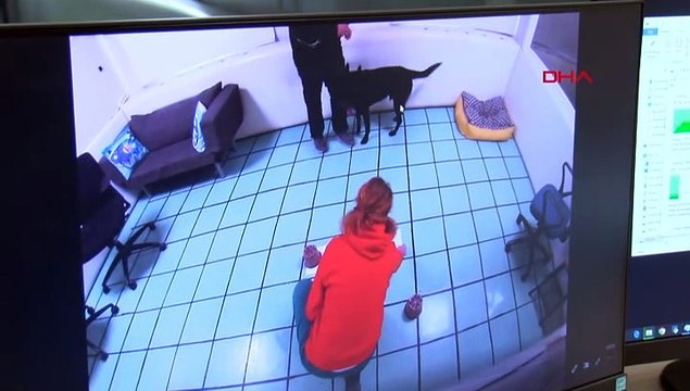 Enkazda canlı bulamayan köpekler psikolojik çöküş yaşadı