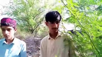 ALLE Balochi Film 2022 A Film by Hammal Noor Episode 14