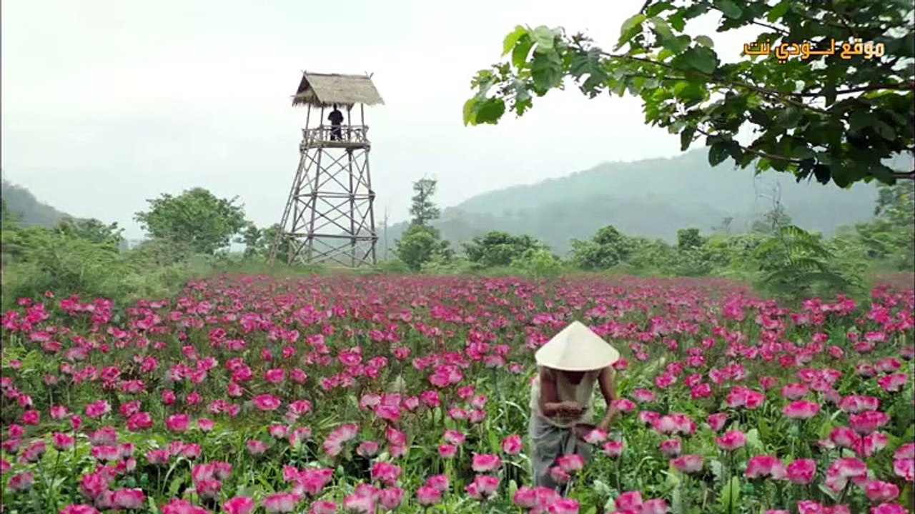 مشاهدة مسلسل قناص المدينة City Hunter الحلقة 1 الأولى مترجمة و كاملة