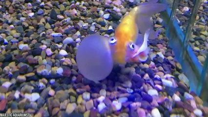 25 Things For Those Who Have Seen Everything