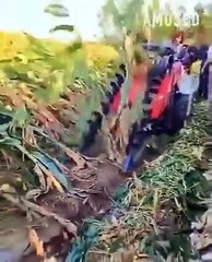 كل الأدوية طعمها مر إلا طعم القرآن الكريم تلاوة خاشعة