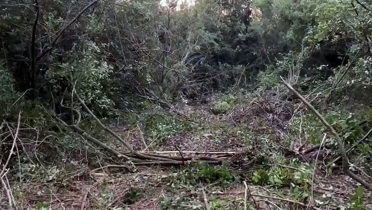 Antalya’da Phaselis Antik Kenti yapılaşmaya açılıyor!