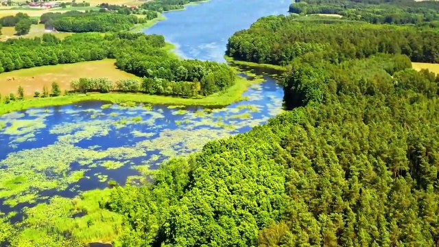 Beautiful Piano Music - Soothing Piano Music For Stress Relief, Calming, Peaceful Relaxation