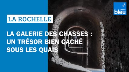 La galerie des chasses : un trésor bien caché sous les quais de La Rochelle