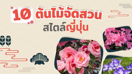 10 ต้นไม้จัดสวนสไตล์ญี่ปุ่น ร่มรื่น เรียบง่าย
