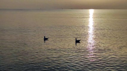 The beauty of early morning