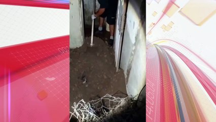Vídeo: polícia encontra corpo enterrado em quintal de casa no Paraná