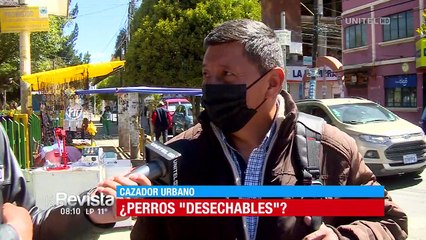 Cazador Urbano: Perros abandonados se multiplican y adueñan de las calles de El Alto