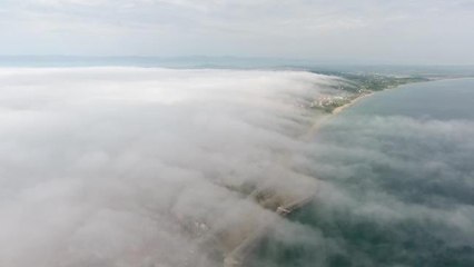 Sinop'u sis yuttu