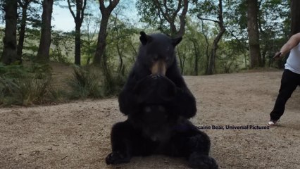 Cinema guide: Bears behaving badly & more from the movies