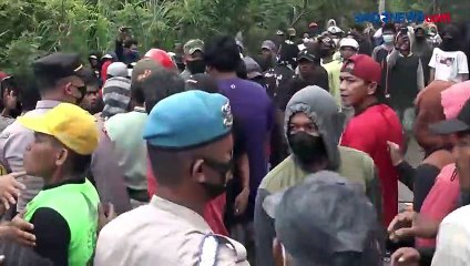 Ratusan Petani Enrekang Blokir Jalan Trans Sulawesi, Ini Sebabnya