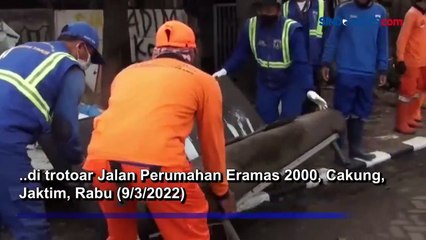 Puluhan Rumah dan PKL di Trotoar Jalan Cakung Ditertibkan Petugas