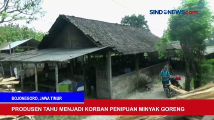 Rusia Umumkan Genjatan Senjata dan Buronan Investasi Bodong Diringkus.