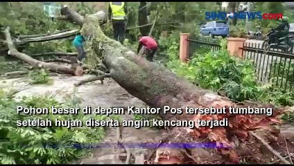 Evakuasi Pohon Tumbang di Depan Kantor Pos Depok Jaya, Aktivitas Tetap Normal