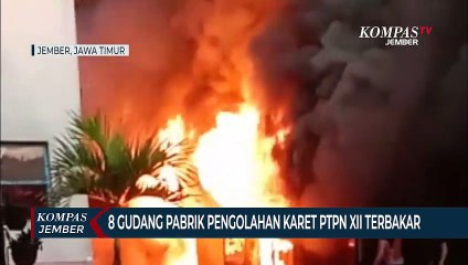 Kebakaran Hebat Menghanguskan Pabrik Pengolahan Karet PTPN XII