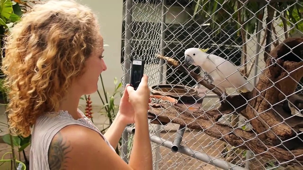 12 Darkest Zoo Secrets They Don't Want You To Know About