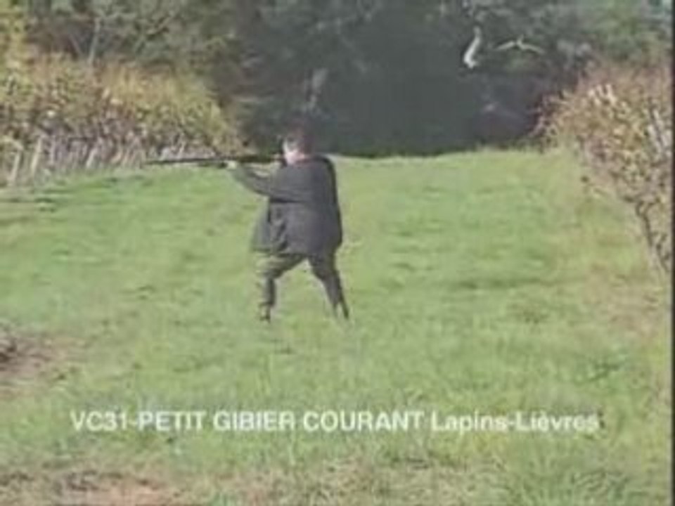 Chasse du petit gibier courant