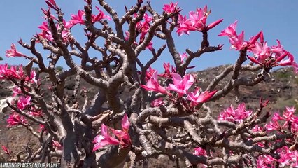 12 Strangest Islands On Planet Earth