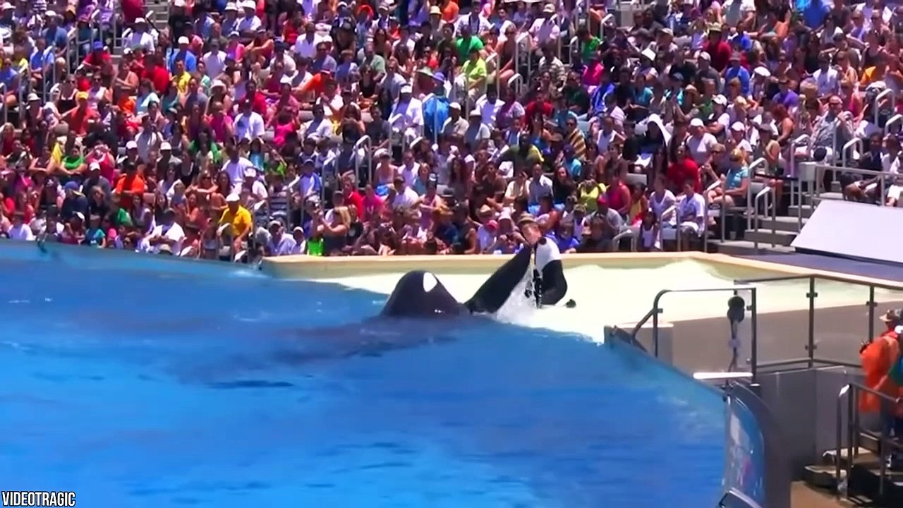 10 Secrets You Don't Know About Seaworld