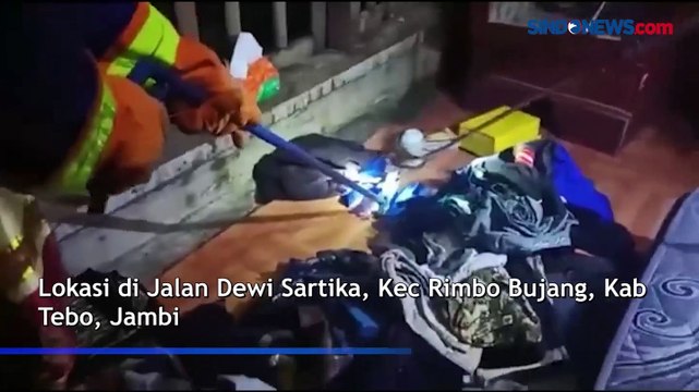 Ular Kobra Masuk Kamar Warga di Jambi, Petugas Nyaris Dipatuk saat Evakuasi