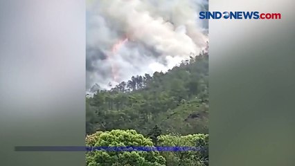 Kobaran Api Terekam, Diduga Lokasi Jatuhnya Pesawat China Eastern Airlines