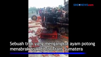 Hilang Kendali, Truk Pengangkut Ayam Tabrak Truk Lain dan Terguling di Tol Trans Sumatera