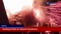 Gudang Pallet di Jakarta Kebakaran