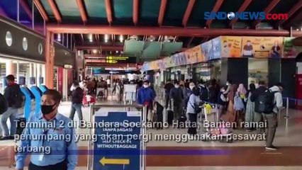 Download Video: Aturan Baru Penerbangan, Penumpang Vaksin Dosis Dua Banyak yang Tertinggal Pesawat