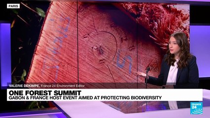'One forest summit' in Gabon: What to expect?