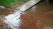 Intensa lluvia en Camiri deja varias calles y viviendas afectadas por el agua