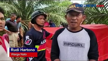 Download Video: Harimau Peneror Warga Merangin Masuk Perangkap BKSDA Jambi