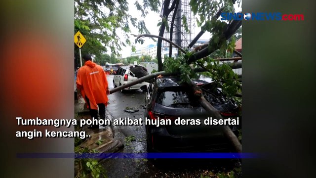 Hujan Disertai Angin Kencang, Sebuah Pohon Setinggi 7 Meter Tumbang di Fatmawati