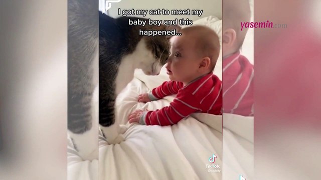 Kediyle bebeğin tanışma anı izleyenlerin içini ısıttı