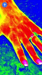 Gold fish Facts | know This #shorts