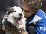 Wunder in der Türkei: Hund wird 23 Tage nach dem Erdbeben gerettet