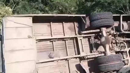 सीधी: तेज रफ्तार ट्रक अनियंत्रित होकर पलटा, चालक हुआ घायल