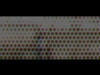 Mariage Agathe et alex partie2