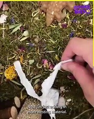 Extreme hamster cage clean out !!